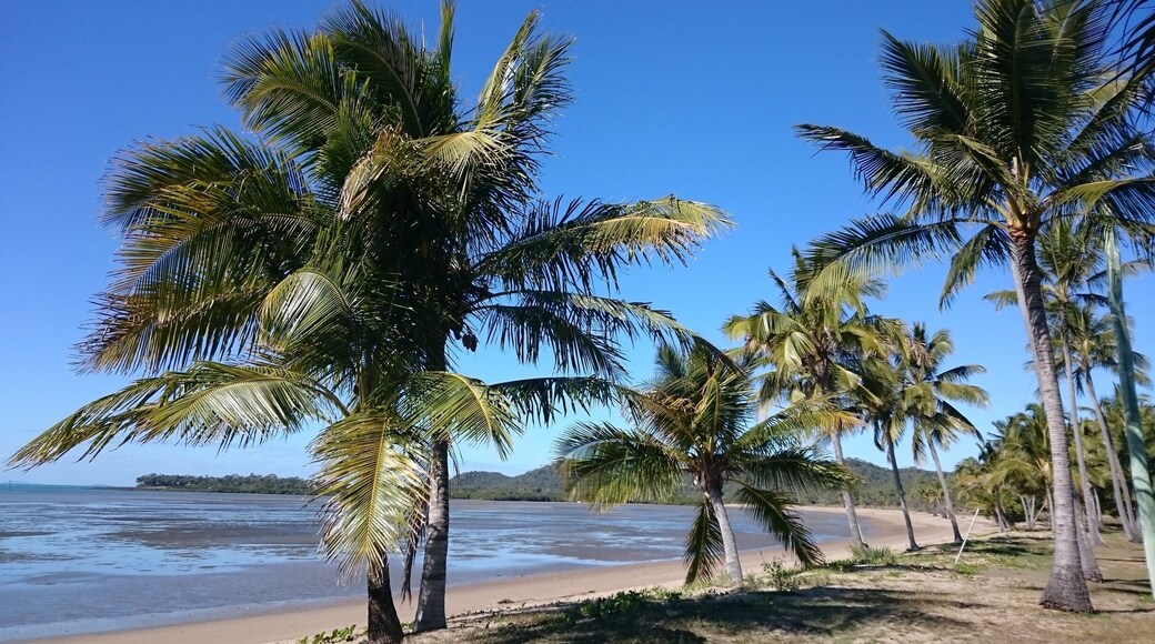 Nobody about. Sunny skies in August. National Park in the background. Pretty close to paradise I think.
Seaforth has a camping grounds which means you can stay in this little slice of heaven for only $25 per night. Bargain!
Great for a cheap winter #weekendgetaway