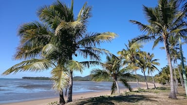 Nobody about. Sunny skies in August. National Park in the background. Pretty close to paradise I think.
Seaforth has a camping grounds which means you can stay in this little slice of heaven for only $25 per night. Bargain!
Great for a cheap winter #weekendgetaway