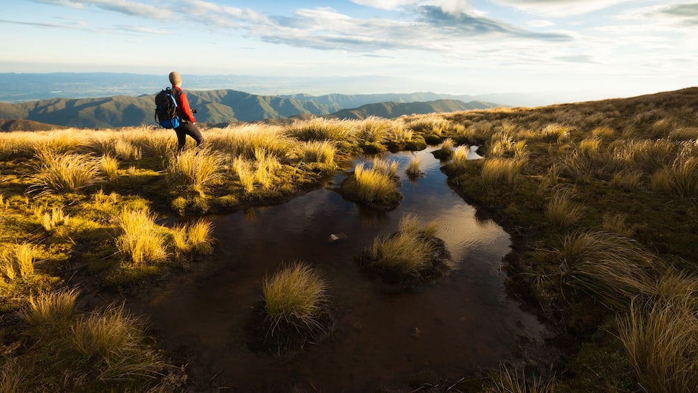 Tramper overlooking the Marchant Ridge and Wairarapa from Mt Alpha. Southern Crossing, Tararua Forest Park