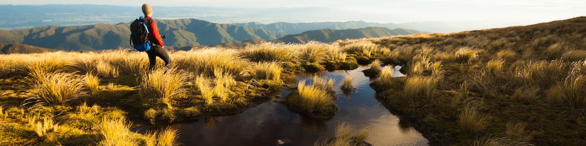 A hiker on a grassy hillside with a small stream.