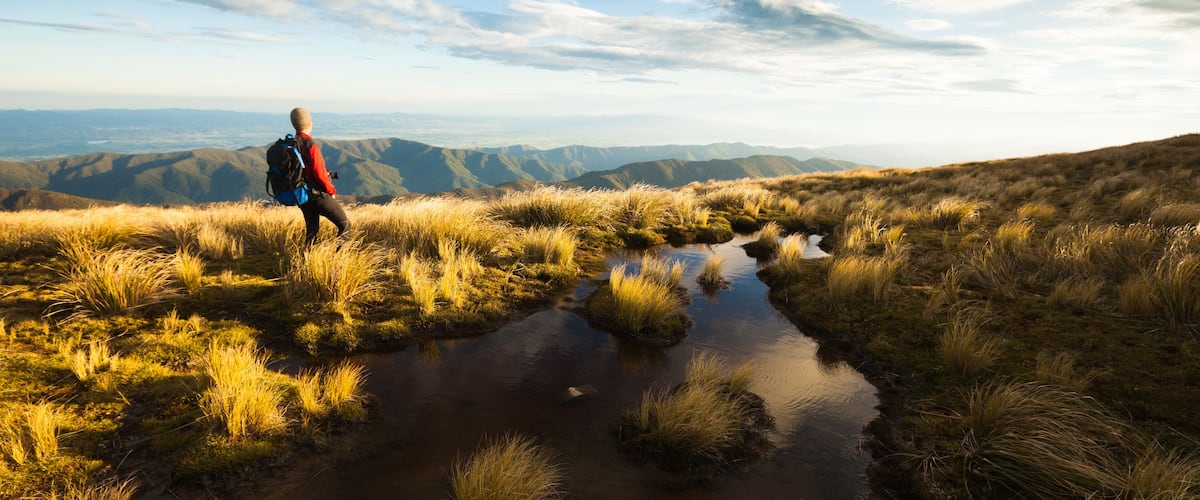 Tramper overlooking the Marchant Ridge and Wairarapa from Mt Alpha. Southern Crossing, Tararua Forest Park