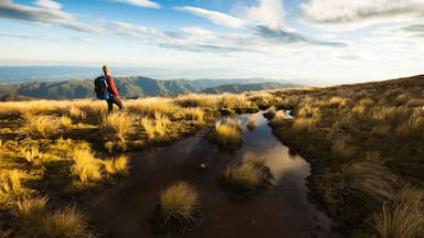 Un excursionista en una ladera cubierta de hierba con un pequeño arroyo.