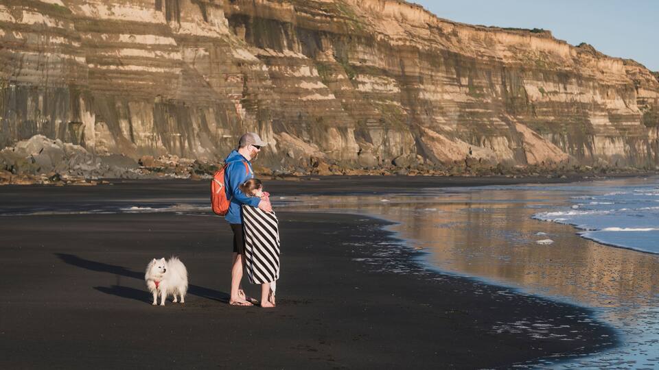 A beach with a dog, a child, and an adult.
