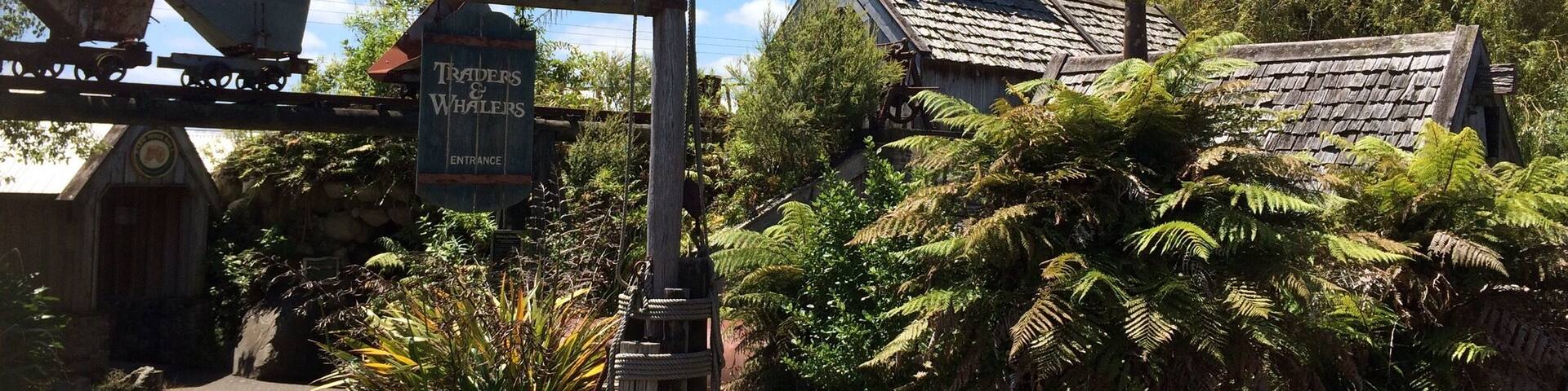 Looking for a place that brings nz & taranaki history to life with figurines & images, then get freaked out when you see real people who you think are part of the exhibition. Amazing!!! Check out the new feature traders & whalers for a boat ride through history. Watch out for the wild pig!!
http://www.tawhitimuseum.co.nz/