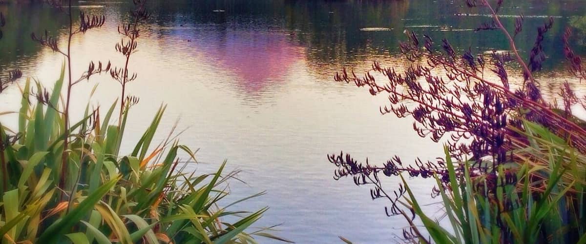 Māori legend recounts how Taranaki - who once lived with the other great volcanoes (Tongariro, Ruapehu and Ngauruhoe) - was banished after falling in love with Tongariro's wife, a smaller volcano called Pihanga. As Taranaki travelled west towards the setting sun, his path of tears carved out the Whanganui River. According to legend, Taranaki is hiding his tears when cloud covers the mountain. I got lucky and got to see Taranaki without cloud several times, pretty unusual.