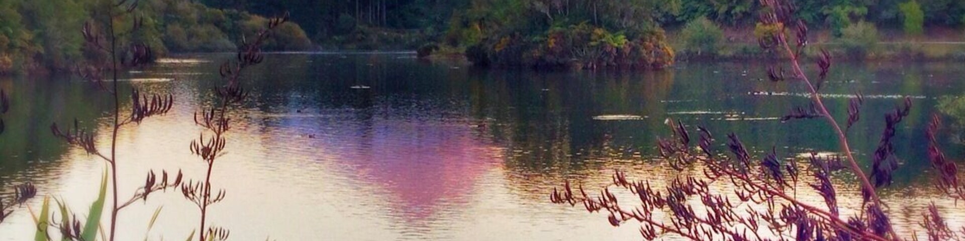 Māori legend recounts how Taranaki - who once lived with the other great volcanoes (Tongariro, Ruapehu and Ngauruhoe) - was banished after falling in love with Tongariro's wife, a smaller volcano called Pihanga. As Taranaki travelled west towards the setting sun, his path of tears carved out the Whanganui River. According to legend, Taranaki is hiding his tears when cloud covers the mountain. I got lucky and got to see Taranaki without cloud several times, pretty unusual.