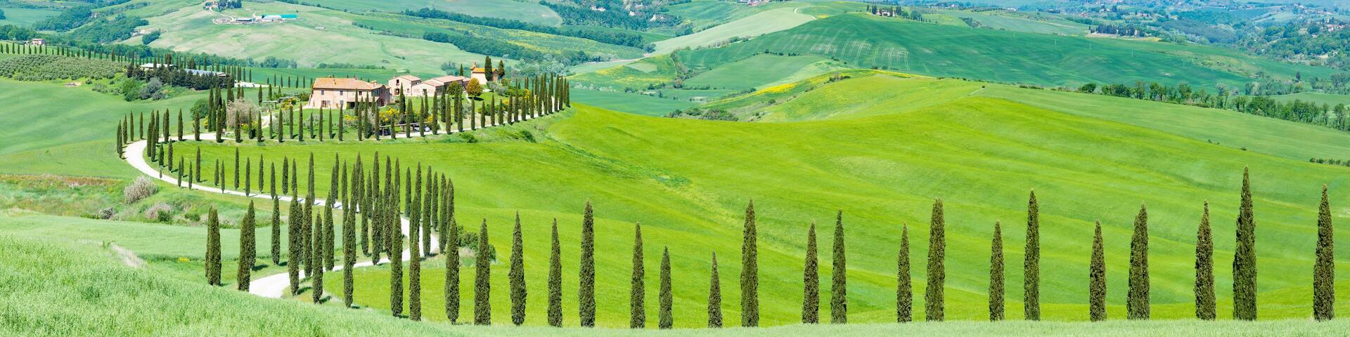 Italy, Tuscany, Asciano, Treelined road in Crete Senesi