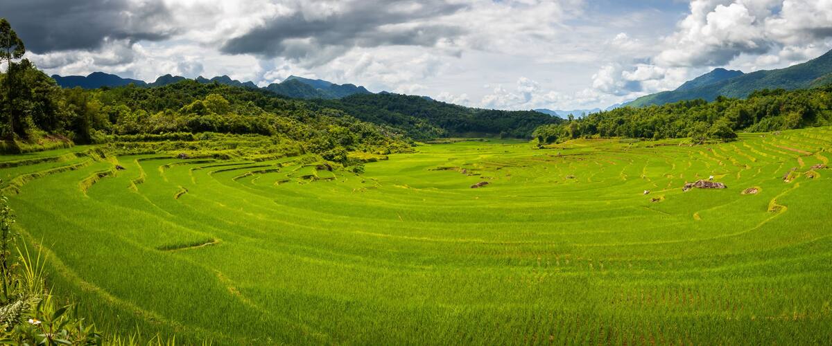 Terraced rice fields, lush greenery, and mountains in the background.