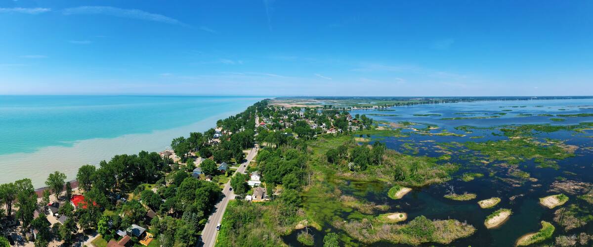 A coastal town with a beach, dense greenery, and a mangrove area.