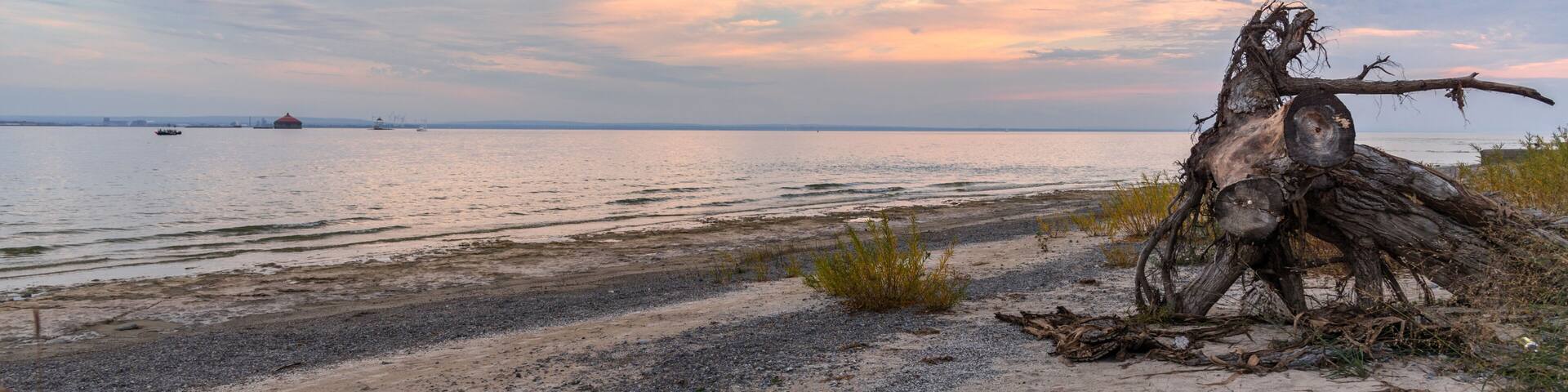 Un paysage côtier avec un tronc d’arbre tombé bien visible, une plage de sable et une eau calme où l’on aperçoit des bateaux au loin.