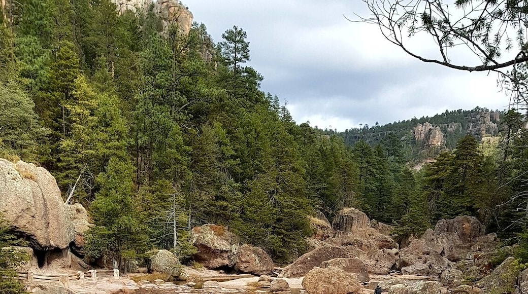 #creel #chihuahua #mexico #lifeatexpedia #weloveourmarkets