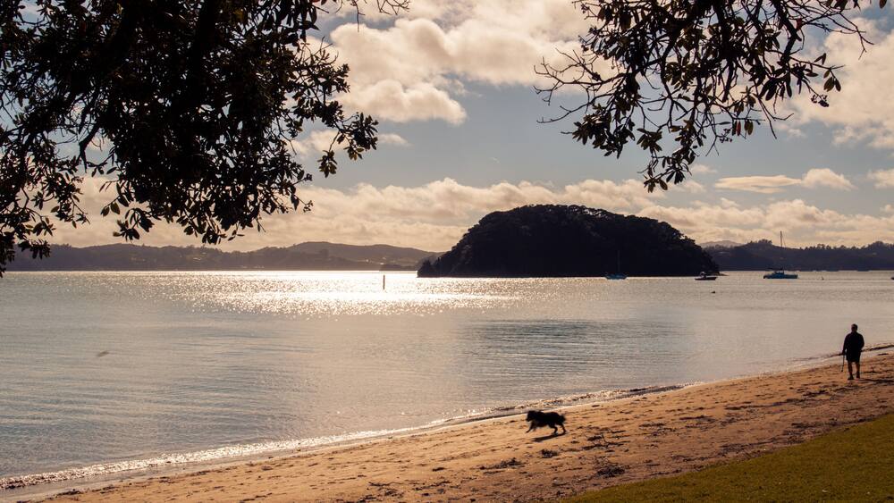 A beach with a dog running along the shore, a person walking, and boats in the water.