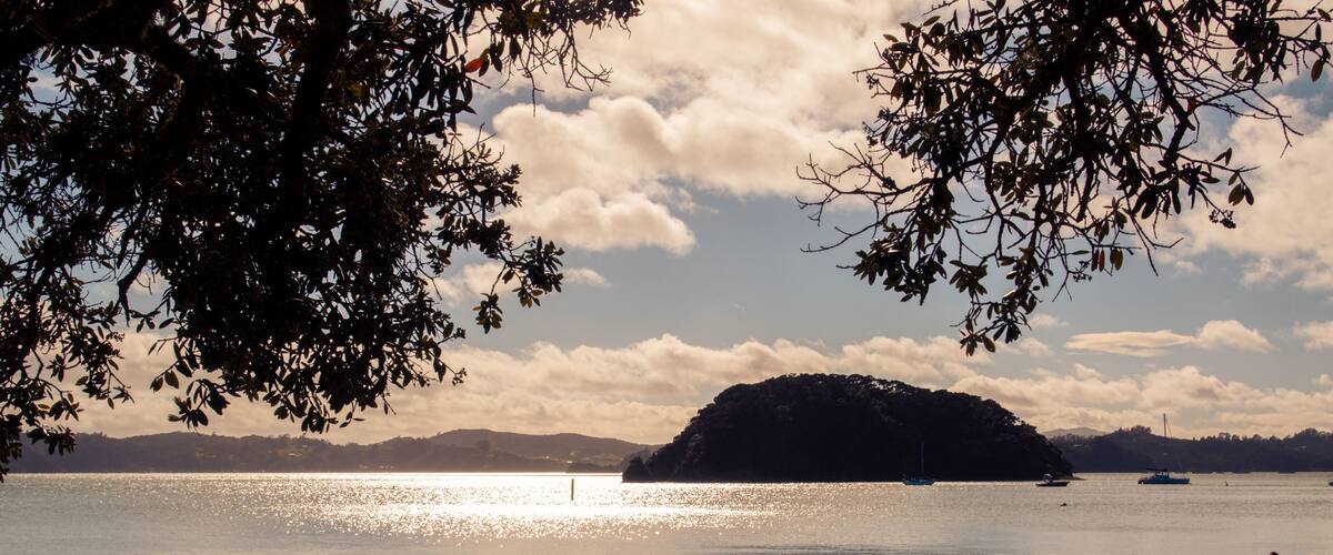 A beach with a dog running along the shore, a person walking, and boats in the water.
