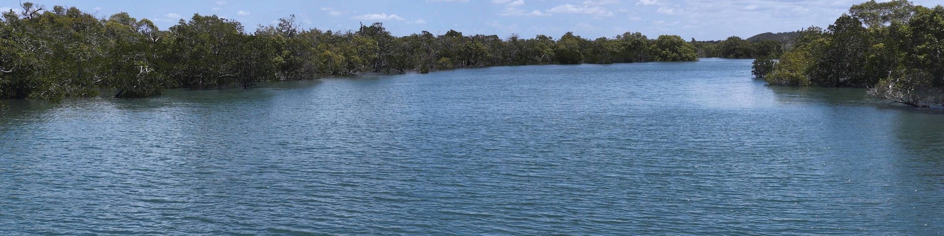 A calm river surrounded by dense greenery and a clear blue sky with scattered clouds.