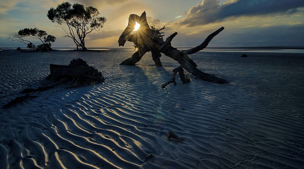 Early morning - only the photographers, fitness walkers and dog owners were up before the sun.