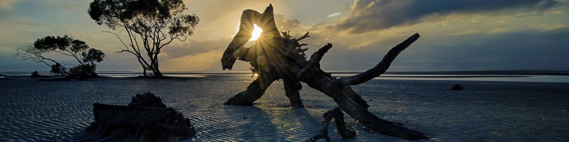 Early morning - only the photographers, fitness walkers and dog owners were up before the sun.