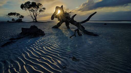 Early morning - only the photographers, fitness walkers and dog owners were up before the sun.