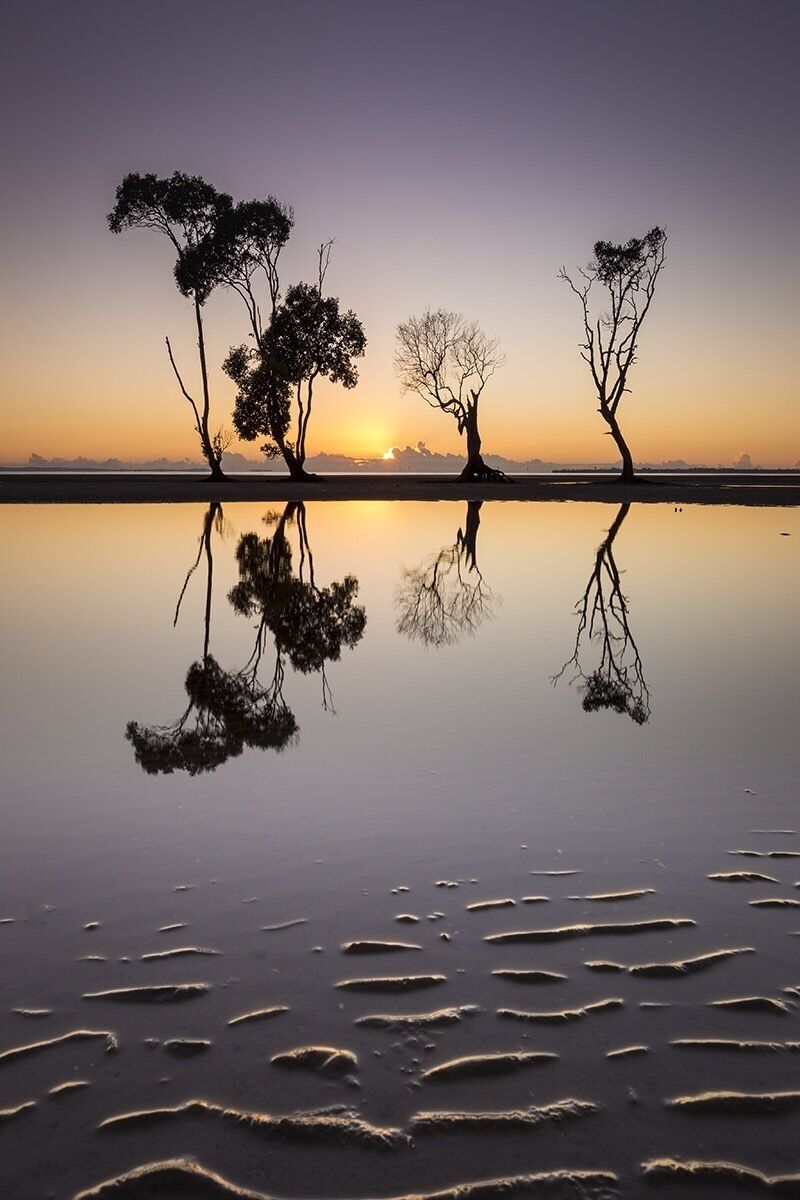 At low tide, these weathered mangrove trees are rather photogenic at sunrise. 

#queensland #australia #bestof5 #beachbound
 