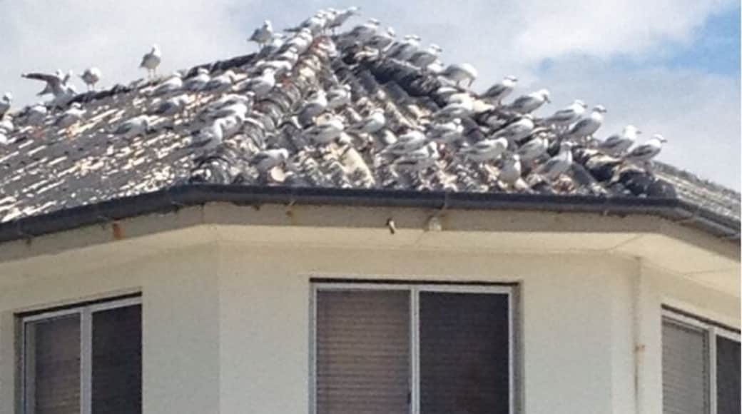 Ha ha ha. Lots of seafood lovers visiting that day!