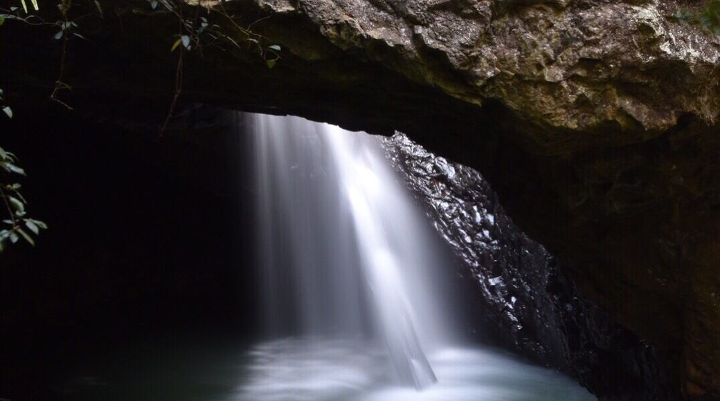 Great place in the Gold Coast Hinterland