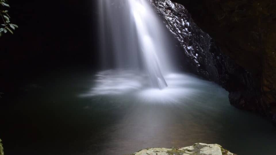 Great place in the Gold Coast Hinterland