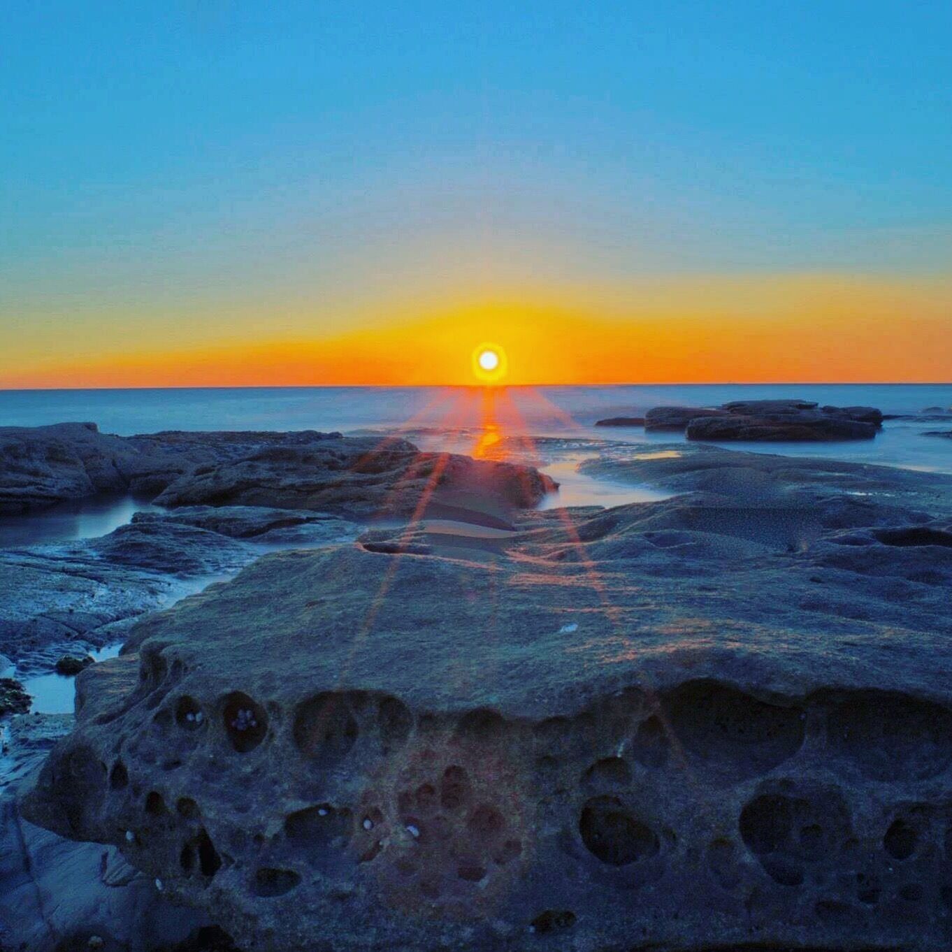 #Aquatrove
Point Cartwright Sunshine Coast Qld