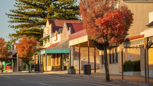 Kapunda which includes a small town or village