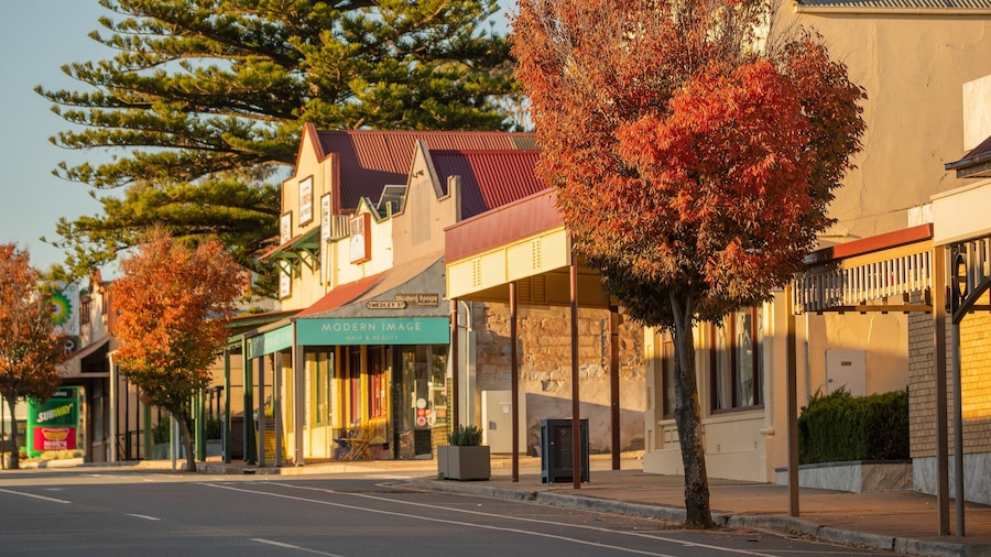 Kapunda which includes a small town or village