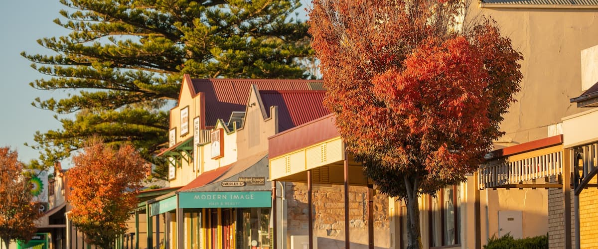 A street lined with trees and buildings, including a Subway and a Modern Image hair and beauty salon.