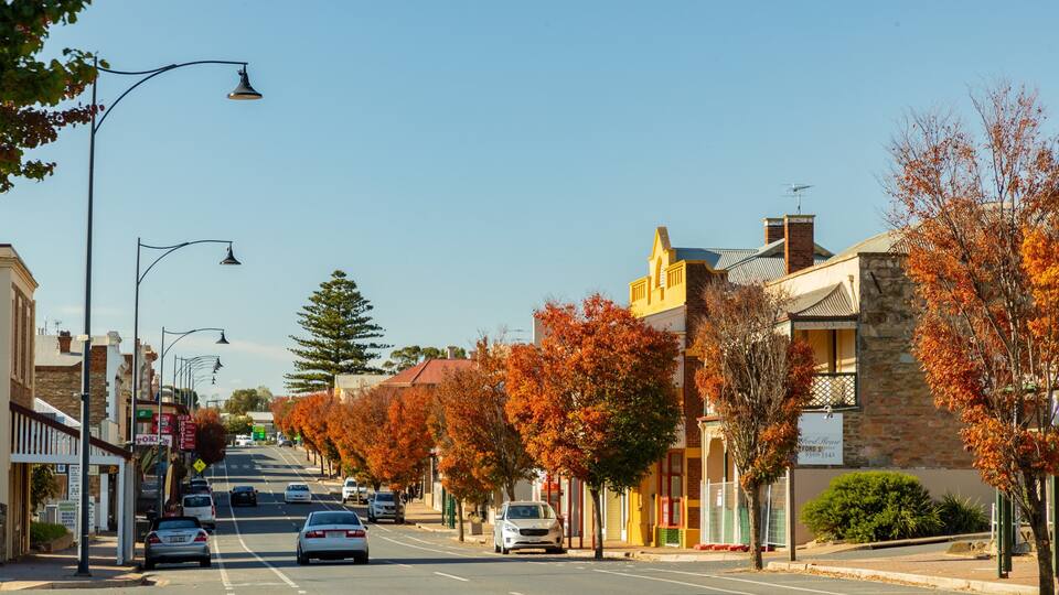 A street lined with autumn-colored trees and historic buildings.