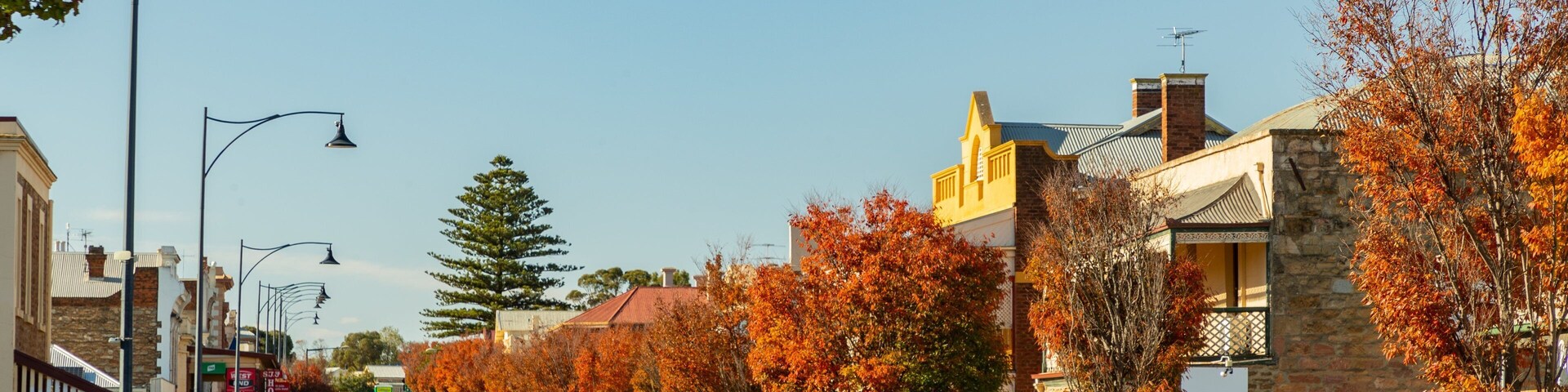 Kapunda featuring a small town or village