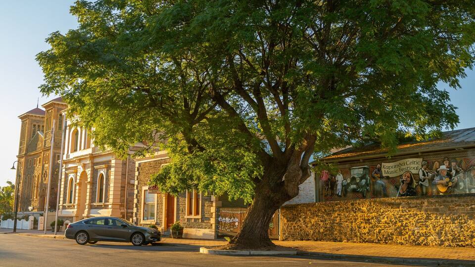 A tree-lined street with a historic building and a mural.