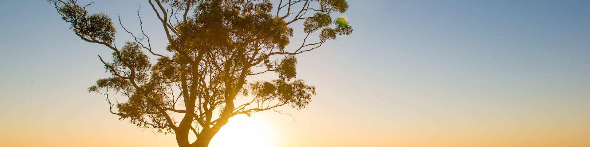 Beautiful sunset over Barossa Valley; Shutterstock ID 161133035
