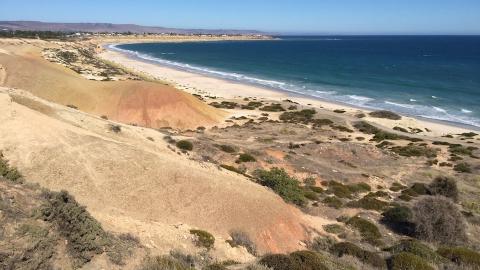 Nice Peaceful beach close to adelaide.
Seems to be a nice diving point too