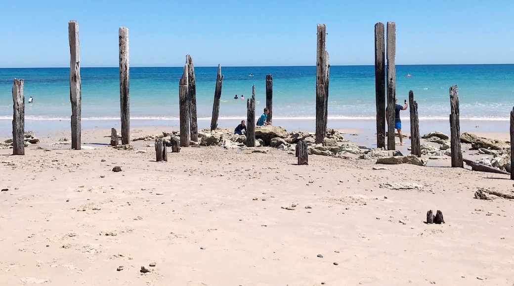 This is just one of the many stunning beaches in South Australia. I love the contrast between the white sand of the beach and the rich #blue of the sea. The wooden piles are the ruins of a jetty and are now a favourite playground for kids. #LifeAtExpedia