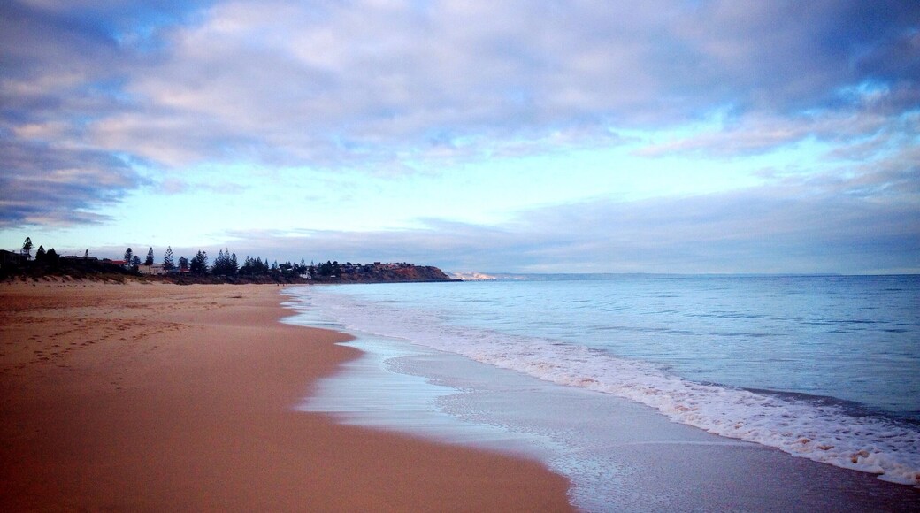 Perfect place to walk the dog in the morning