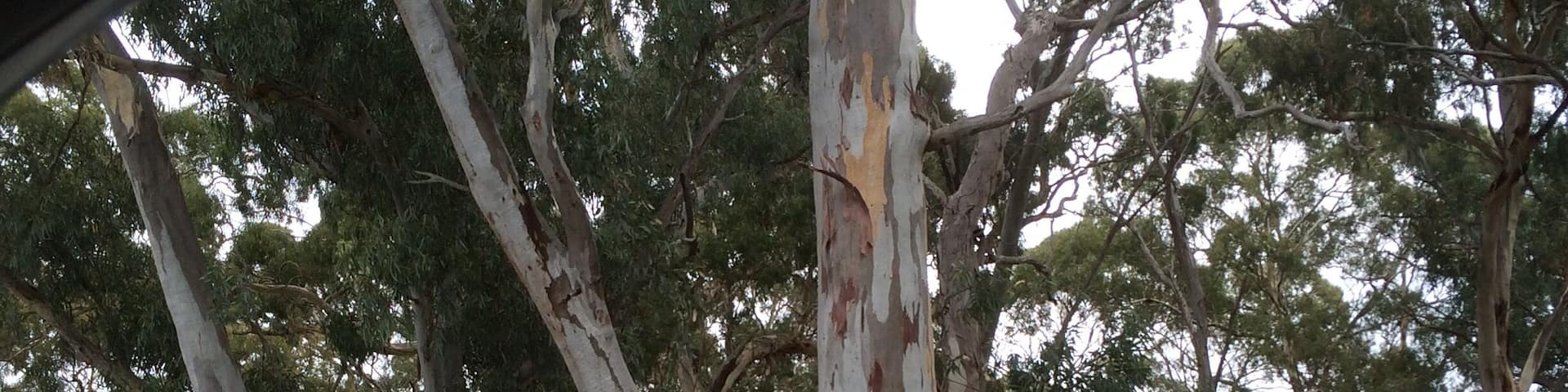 Aussie wine maker of the year. Definitely recommend, great wines, friendly staff, relaxing country atmosphere.