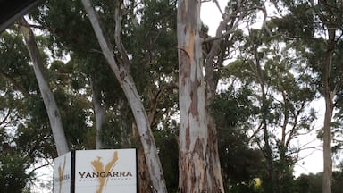 Señal de la bodega Yangarra Estate Vineyard, con una valla de madera y árboles de eucalipto al fondo.