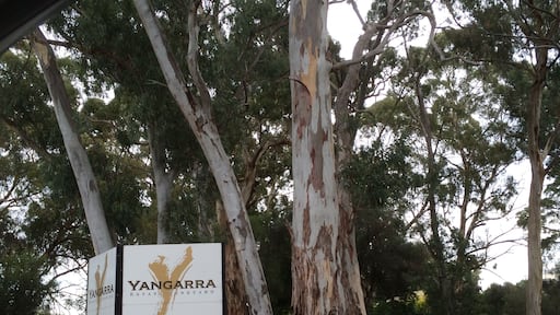 Aussie wine maker of the year. Definitely recommend, great wines, friendly staff, relaxing country atmosphere.