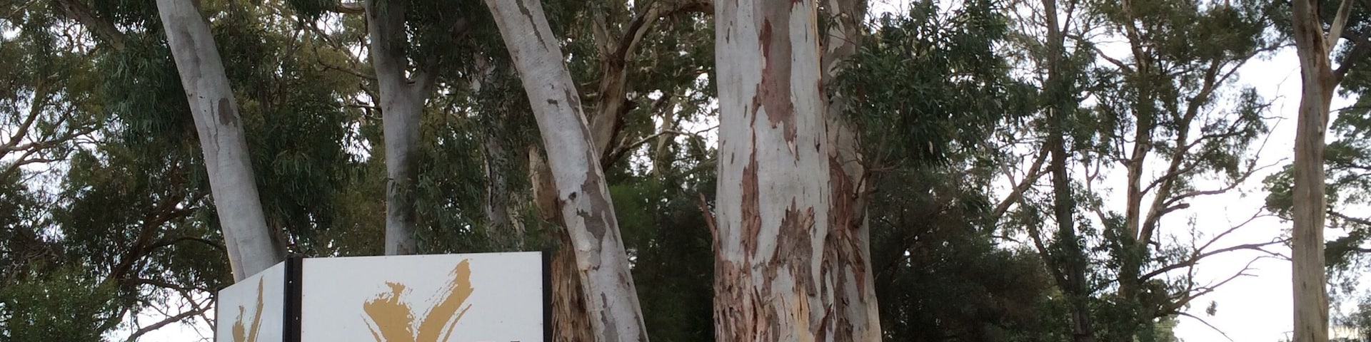 Aussie wine maker of the year. Definitely recommend, great wines, friendly staff, relaxing country atmosphere.