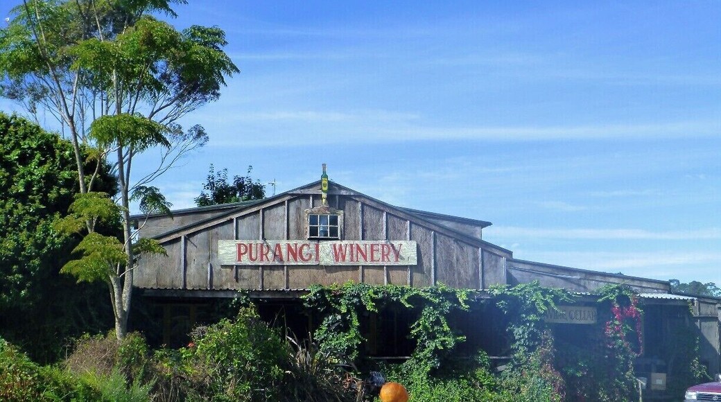 If you’re looking for a winery with a bit of character, you have to check out Purangi Winery.
There is nothing pretentious about this family-run winery, and prepare yourself for a large tasting of their wines and liqueurs and lots of great stories.