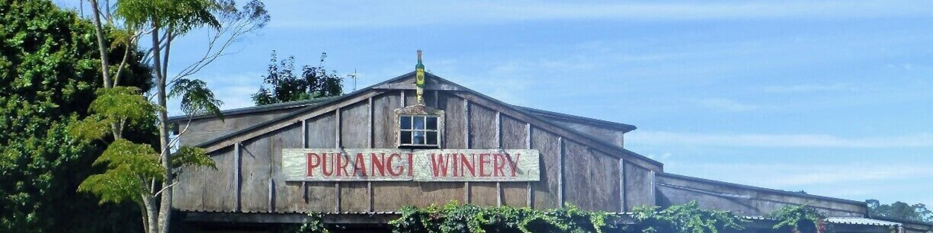 If you’re looking for a winery with a bit of character, you have to check out Purangi Winery. 
There is nothing pretentious about this family-run winery, and prepare yourself for a large tasting of their wines and liqueurs and lots of great stories.