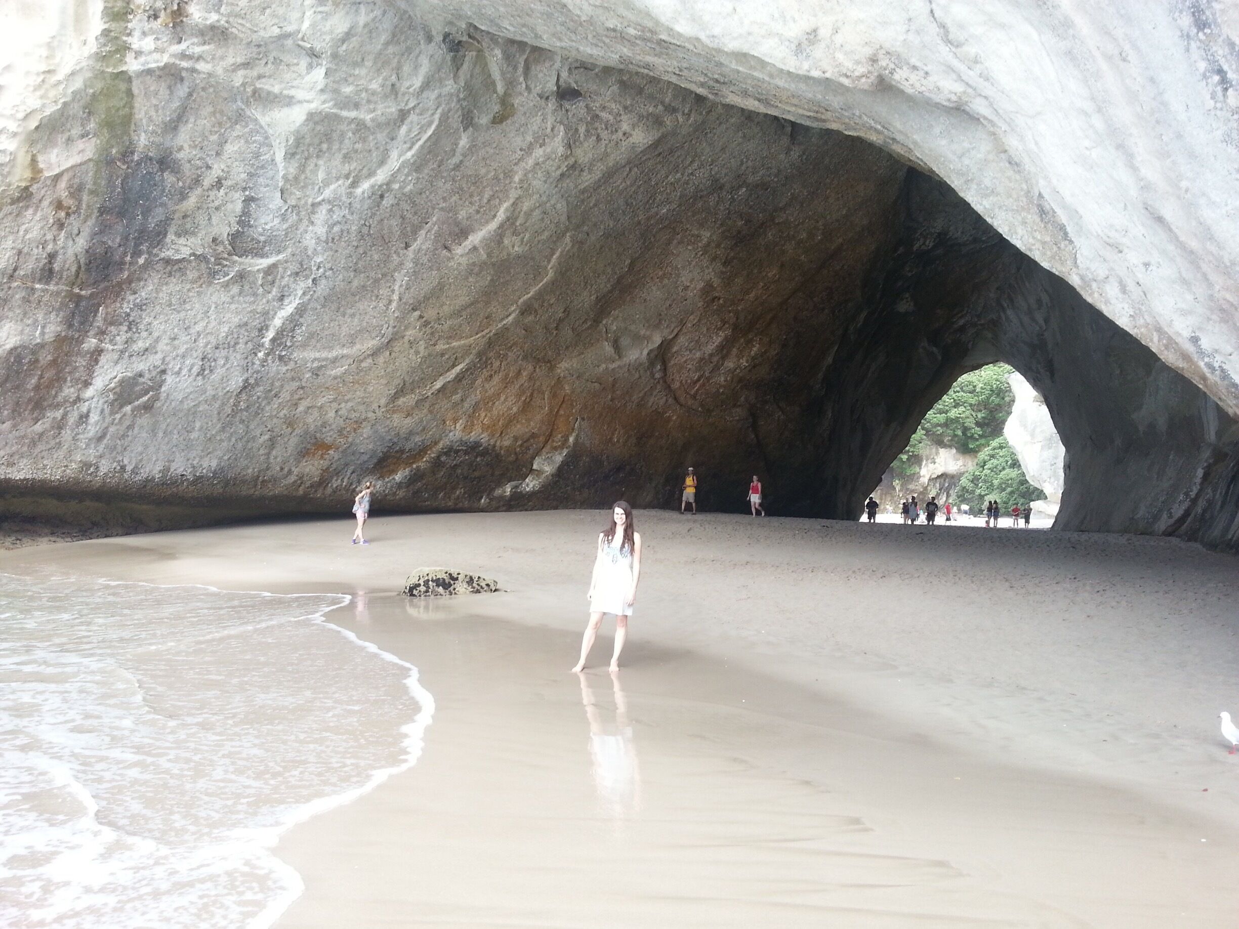 Cathedral Cove I highly recommend both the kayak tour and the walk from Hahei beach. 