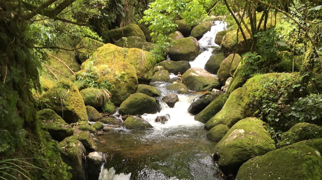 Hike thru the mossy forest to see the falls
#green