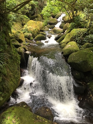 Hike thru the mossy forest to see the falls
#green