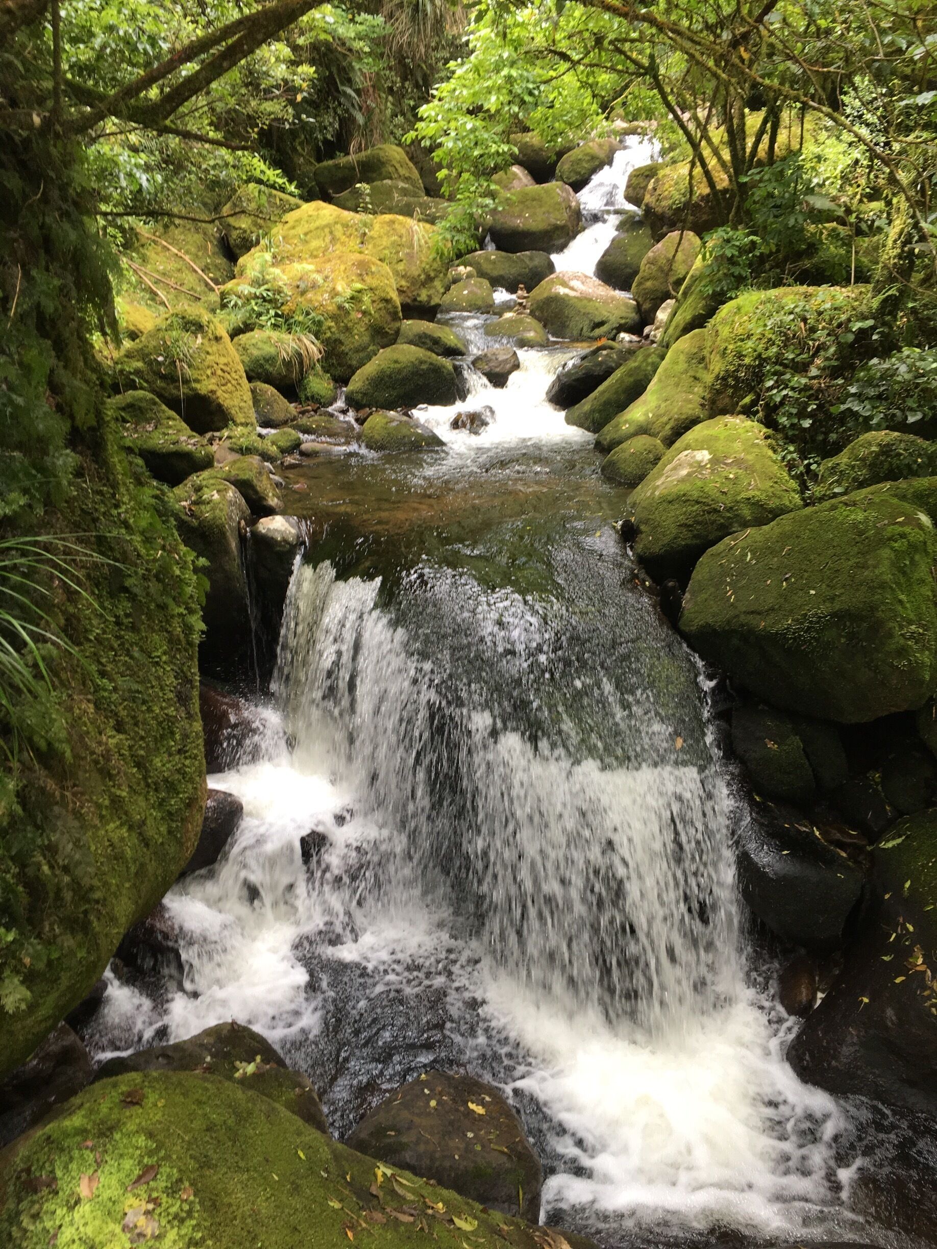 A small waterfall surrounded by moss-covered rocks and lush greenery.