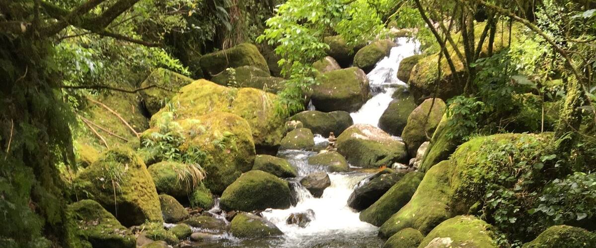 A small waterfall surrounded by moss-covered rocks and lush greenery.