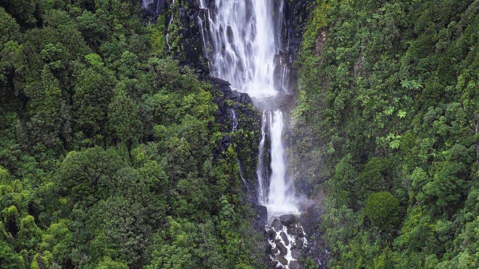 A multi-tiered waterfall cascading through a dense, green forest.