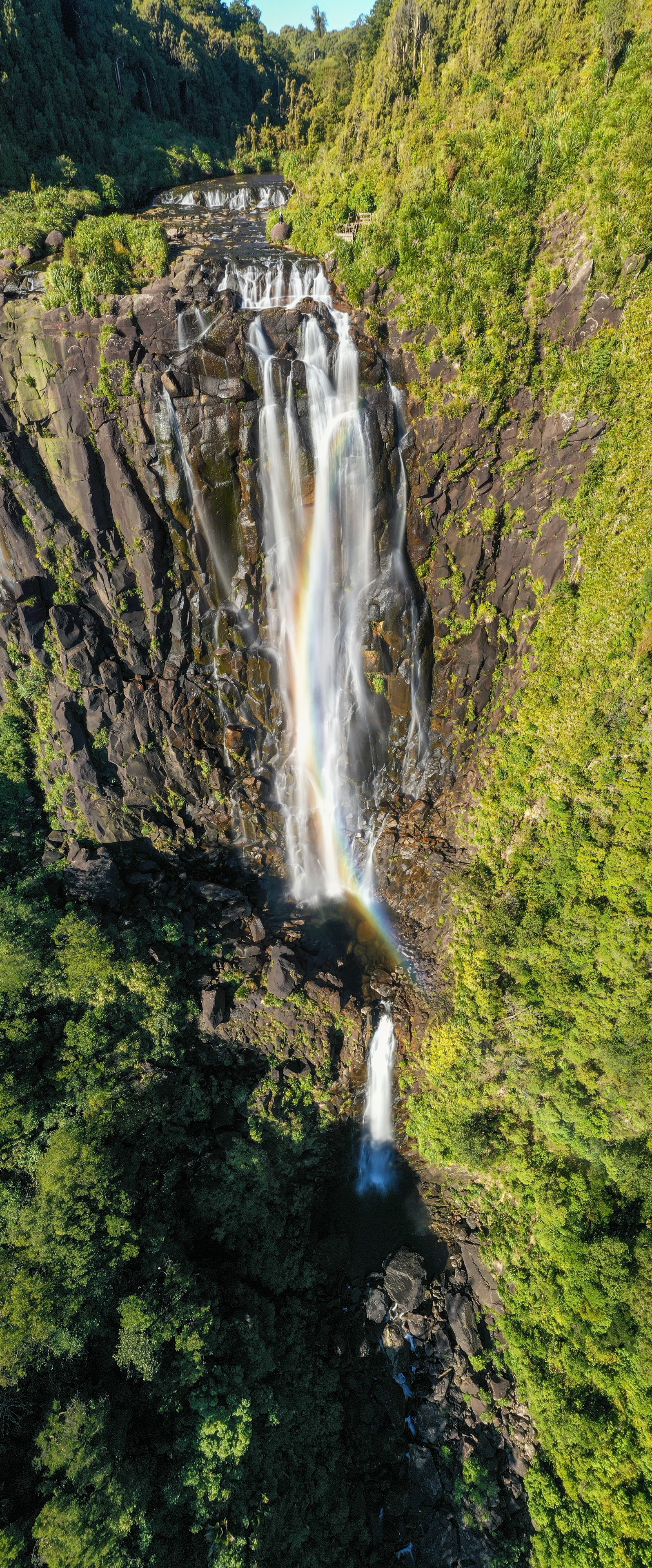 Aerial view of Wairere Falls cascading down a steep rocky cliff with a faint rainbow in the mist, surrounded by dense green forest in Okauia, Waikato Region, New Zealand.
