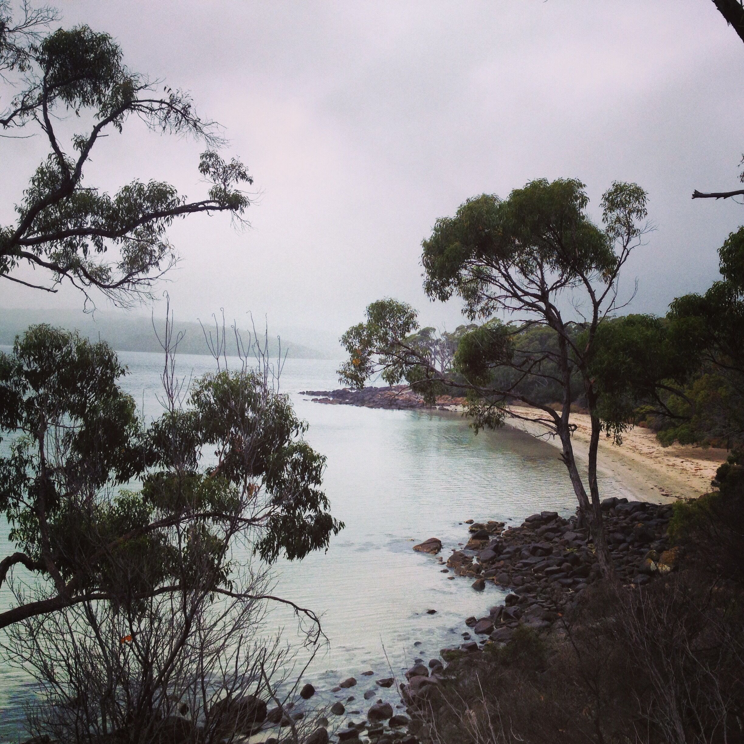Walking on Bruny Island, beautiful. #hiking #weekendgetaway #tasmania #australia